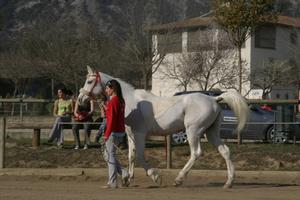 Gallery/VetIn/rotator/IMG_1541.jpg