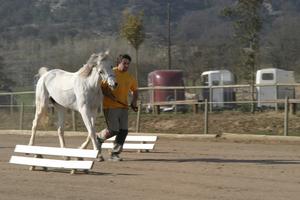 Gallery/VetIn/rotator/IMG_1542.jpg