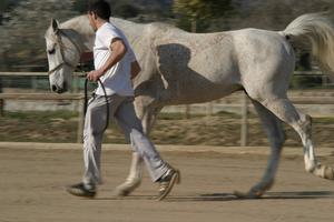 Gallery/VetIn/rotator/IMG_1554.jpg
