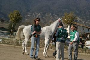 Gallery/VetIn/rotator/IMG_1575.jpg