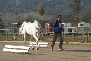 Gallery/VetIn/rotator/IMG_1590.jpg