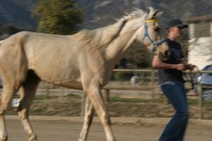 Gallery/VetIn/rotator/IMG_1599.jpg