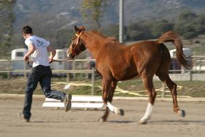 Gallery/VetIn/rotator/IMG_1601.jpg