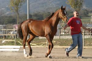 Gallery/VetIn/rotator/IMG_1636.jpg