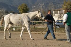 Gallery/VetIn/rotator/IMG_1640.jpg