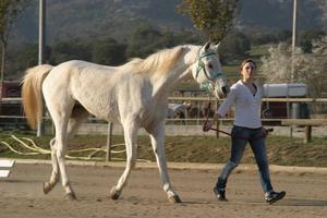 Gallery/VetIn/rotator/IMG_1645.jpg