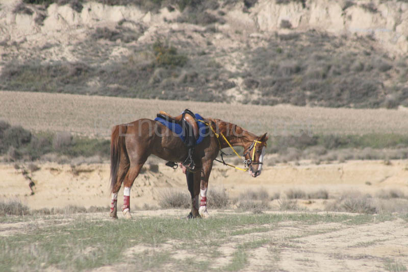 08FIG_215