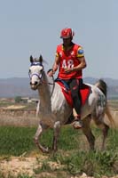 international/Spain/2008Figarol/gallery/05Loop3A/thumbnails/08FIG_342.jpg