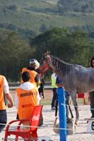 20080927-_MG_5017
