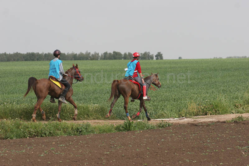 0903TDAA_1262