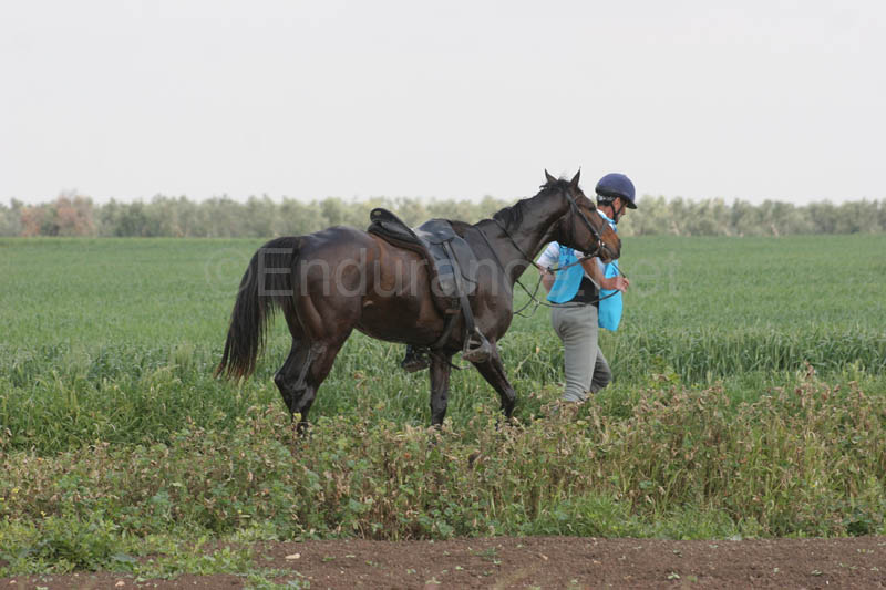 0903TDAA_1278