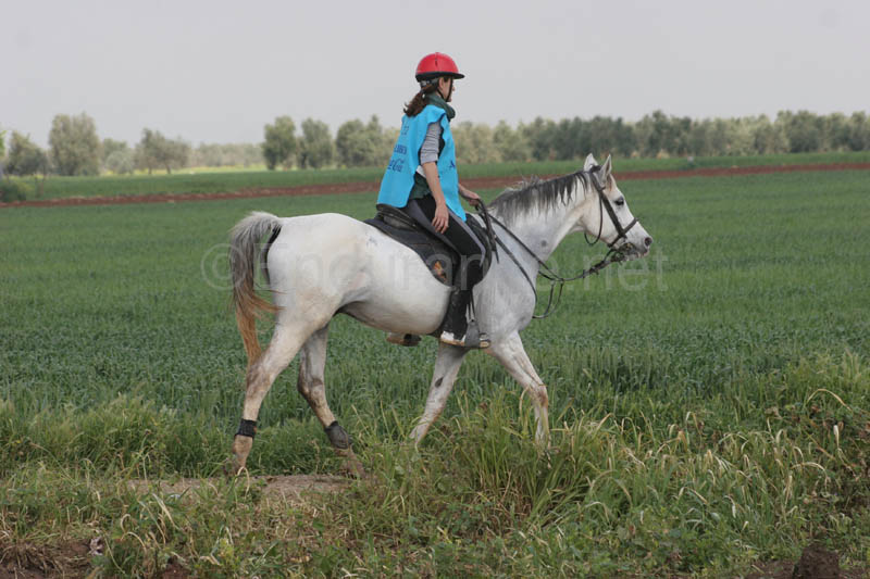 0903TDAA_1279