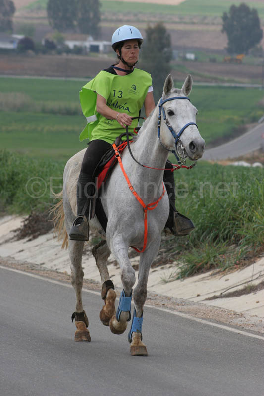 0903TDAA_1281