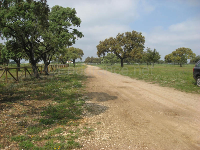 0903TDAA_1290B