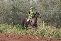 0903TDAA_1246