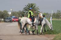 0903TDAA_1275