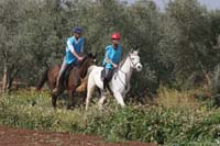 0903TDAA_1277