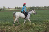 0903TDAA_1279