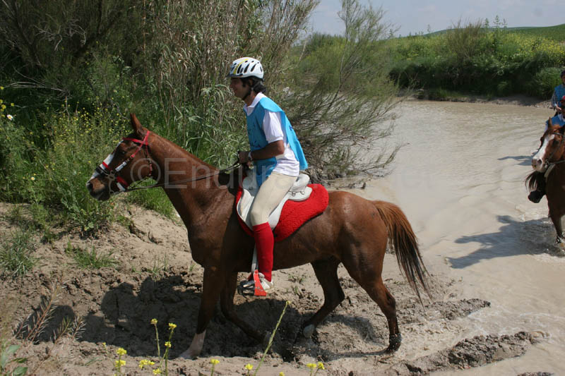 0903TDAA_1395