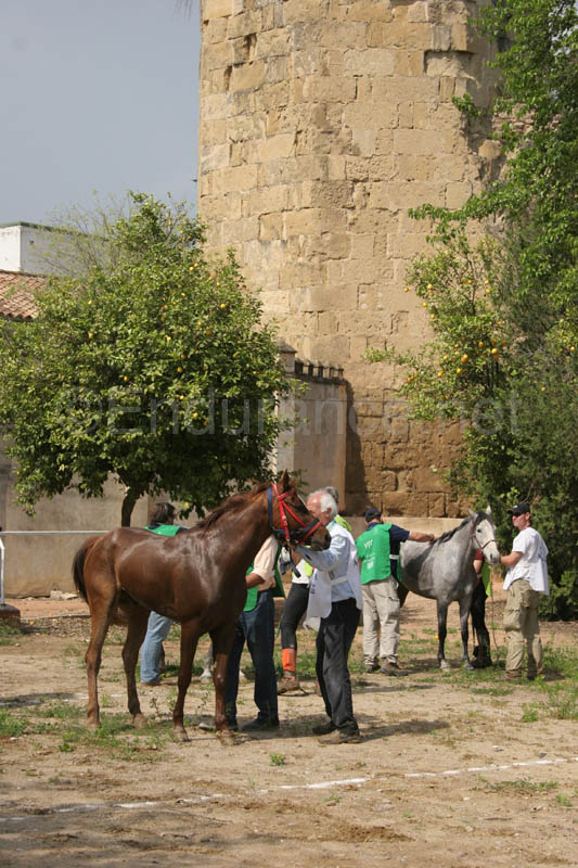 0903TDAA_1404