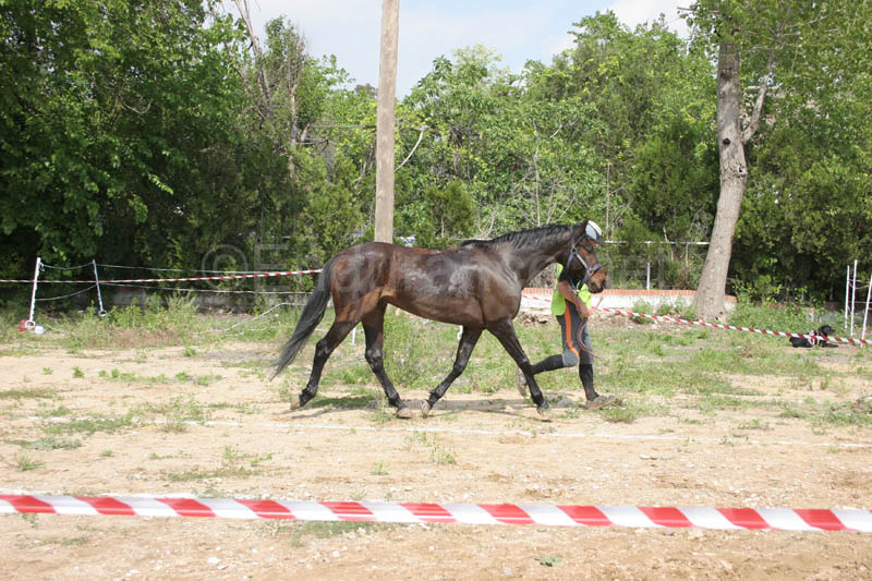 0903TDAA_1406