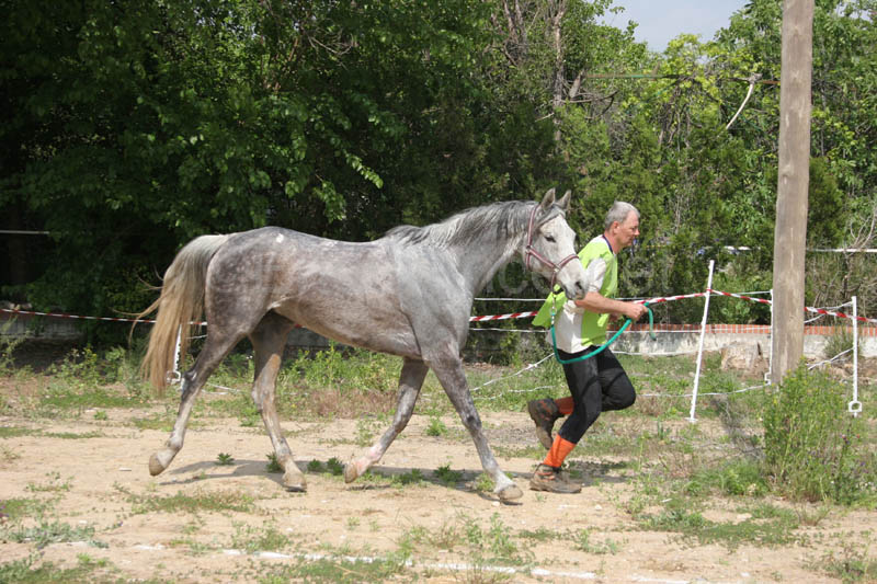 0903TDAA_1407