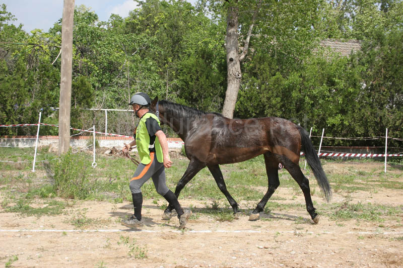 0903TDAA_1408