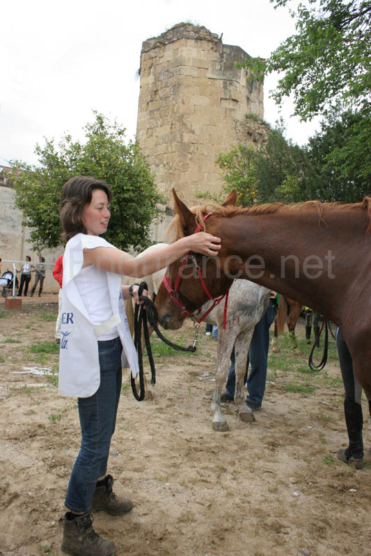 0903TDAA_1425