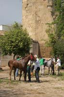 0903TDAA_1404