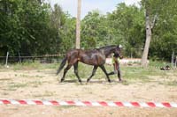 0903TDAA_1406