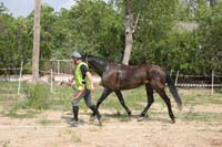 0903TDAA_1408