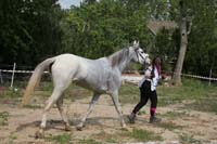 0903TDAA_1410