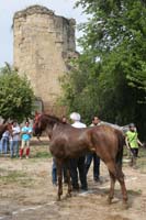 0903TDAA_1411
