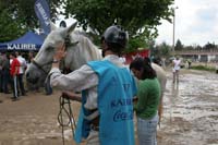 0903TDAA_1424
