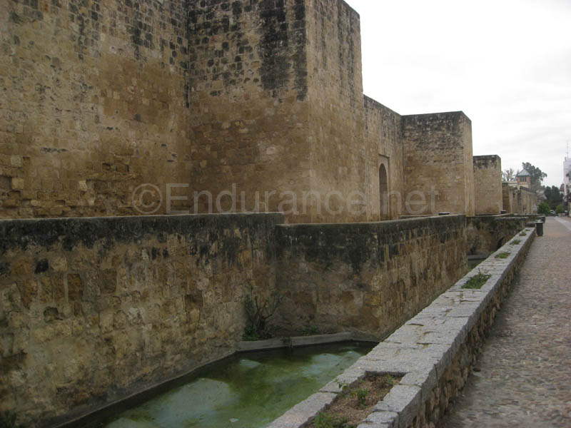 0903TDAA_1449