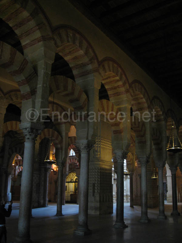 0903TDAA_1479