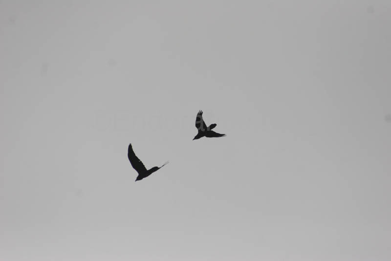 0903TDAA_1540