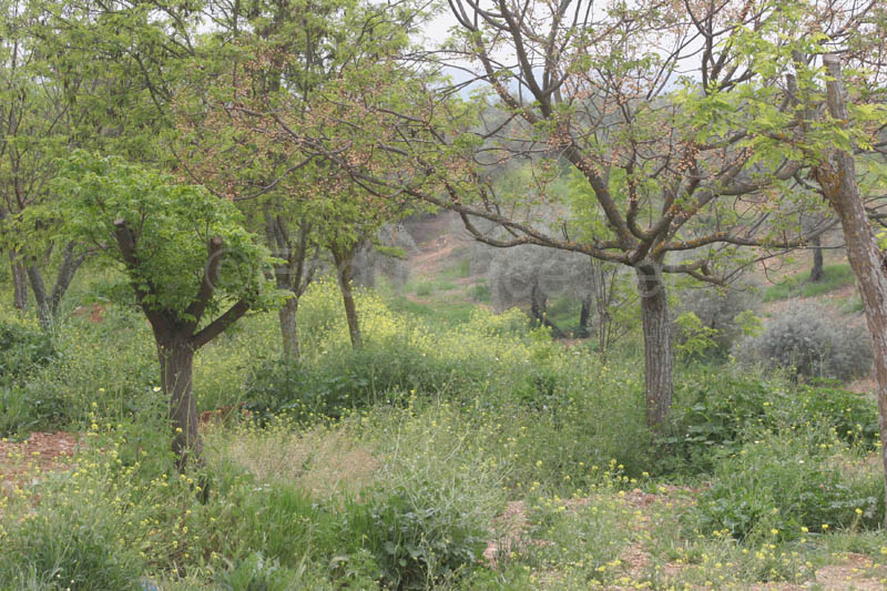 0903TDAA_1551