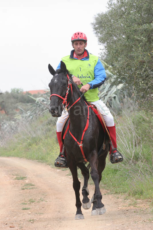 0903TDAA_1552