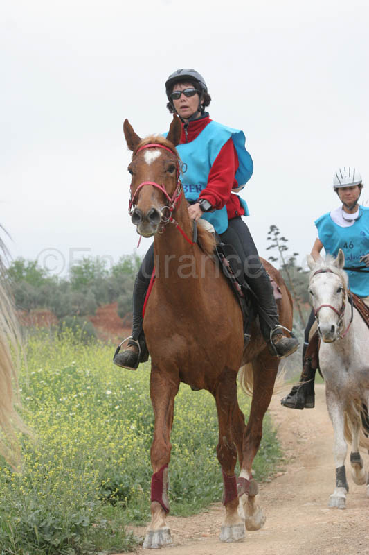 0903TDAA_1567