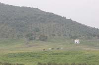 0903TDAA_1539