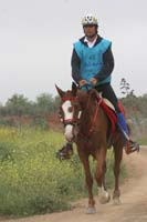 0903TDAA_1545