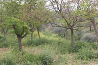0903TDAA_1551
