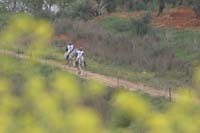 0903TDAA_1554