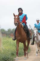 0903TDAA_1567