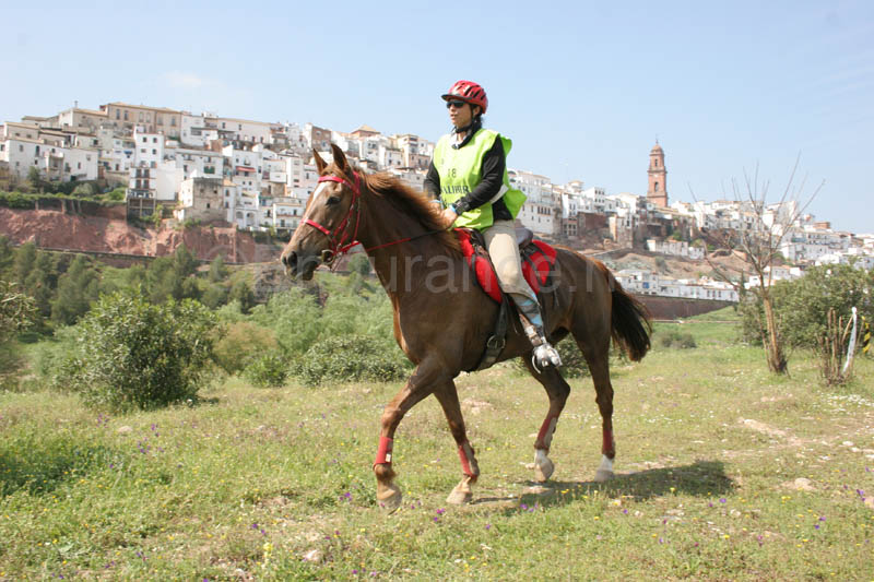 0903TDAA_1603