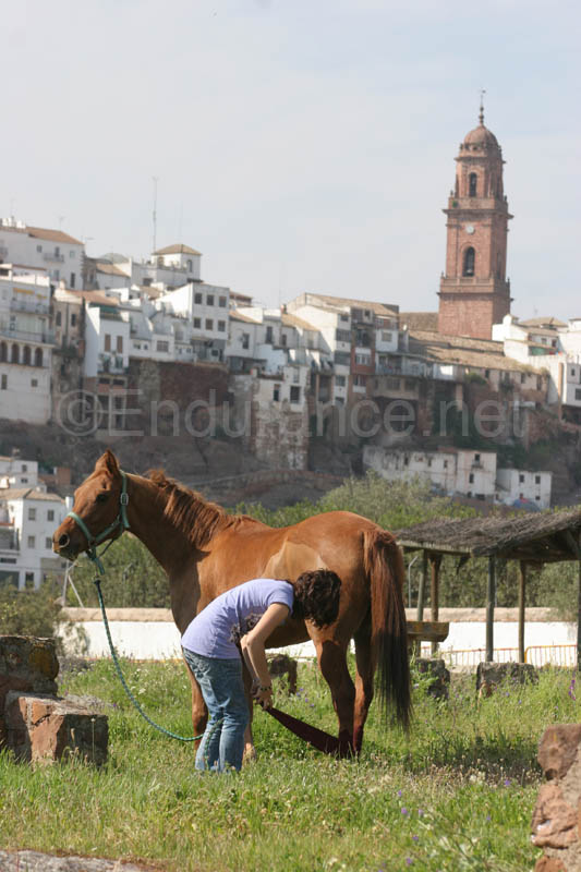 0903TDAA_1606