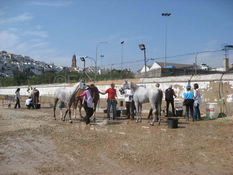 0903TDAA_1606B