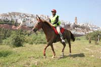 0903TDAA_1603