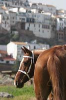 0903TDAA_1607